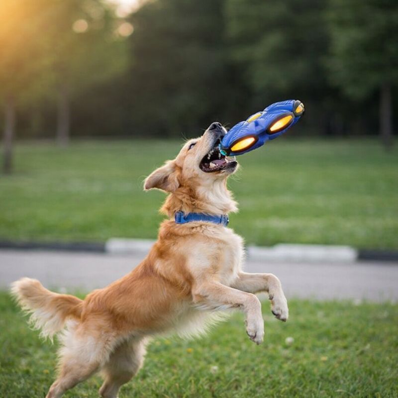 Orbit™ | Transforming Disc Ball