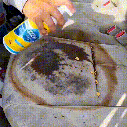 PowerFoam Multi Cleaner [Pack of 02]